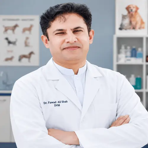 Picture of Dr Fawad Ali Shah, a senior editorial member at PawHatch.com.